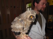 Den dětí se zvířátky